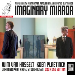 Imaginary Mirror by Wim Van Hasselt ,   Koen Plaetinck