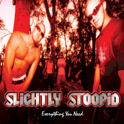 Everything You Need by Slightly Stoopid