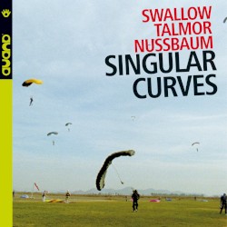 Singular Curves by Swallow  /   Talmor  /   Nussbaum