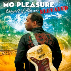 Elements of Pleasure: Elevated by Mo Pleasure