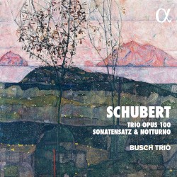 Trio, op. 100 / Sonatensatz / Notturno by Schubert ;   Busch Trio