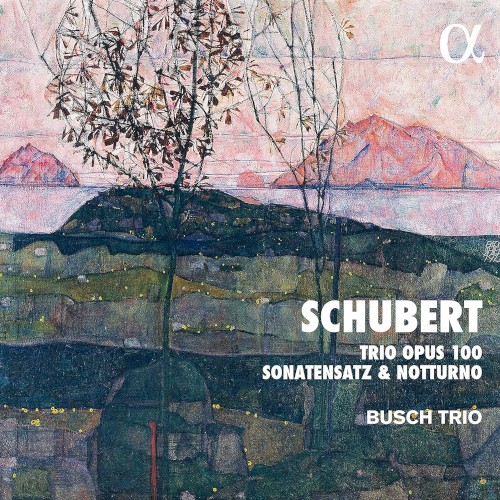 Trio, op. 100 / Sonatensatz / Notturno