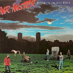 Welcome to the Real World by Mr. Mister