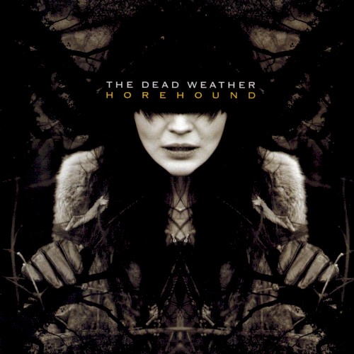 The Dead Weather - Treat Me Like Your Mother (Diplo Remix)