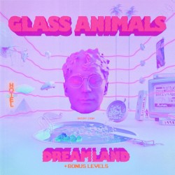 Heat Waves - Glass Animals ft. iann diorr